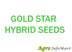 GOLD STAR HYBRID SEEDS