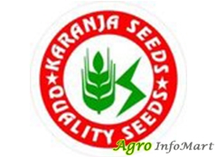 Karanja Seeds bangalore india