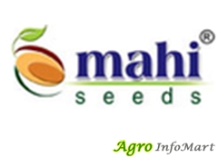Mahi Seeds