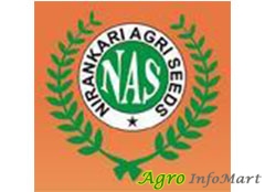 Nirankari Agri Seeds sirsa india