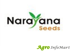 Sharmistha Agri Genetics India Private Limited