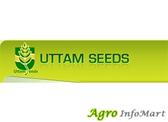 Uttam Seeds