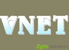 Vnet anand india