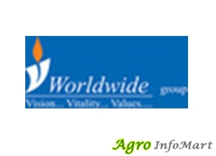 Vworld Wide Group ahmedabad india