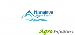 Himalaya Agro Farm chandigarh india