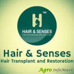 Hair Senses
