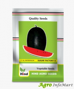 Hind Agro Seeds