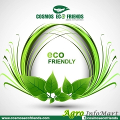 Eco Friendly Disposable Plates Manufacturers Suppliers Traders Cosmos Eco Friends gurugram india