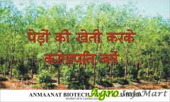 Anmaanat Biotech Private Limited Amritsar Punjab
