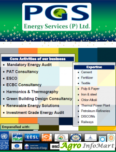 PGS Energy Services