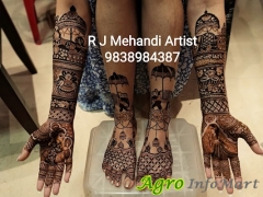 RJ Mehandi Artist Mehandi Artists in Karkardooma delhi india