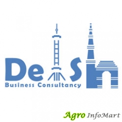 DelSh Business Consultancy Translation and Localization Company in Gurgaon