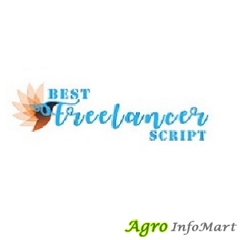 Best Freelancer Script kolkata india