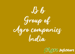  B b Group of Agro companies India