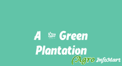 A-1 Green Plantation
