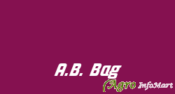 A.B. Bag jaipur india