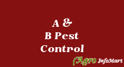 A & B Pest Control delhi india