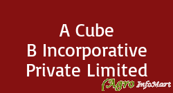 A Cube B Incorporative Private Limited
