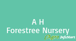 A H Forestree Nursery lucknow india
