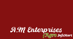 A.M Enterprises
