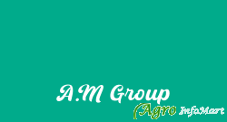 A.M Group