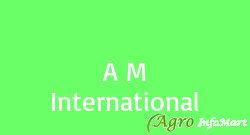 A M International