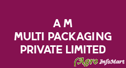 A M Multi Packaging Private Limited