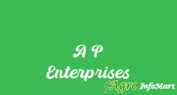 A P Enterprises
