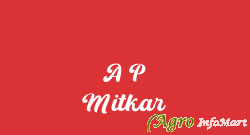 A P Mitkar