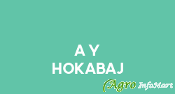 A Y Hokabaj