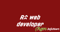 A1 web developer ahmedabad india