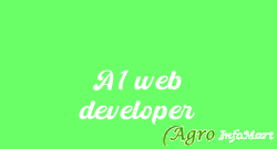 A1 web developer