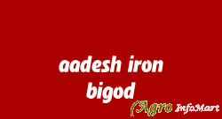 aadesh iron bigod