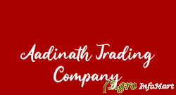 Aadinath Trading Company