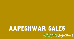 Aapeshwar Sales rajkot india