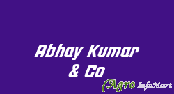 Abhay Kumar & Co