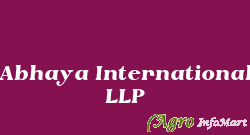 Abhaya International LLP delhi india