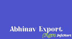 Abhinav Export