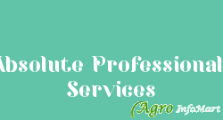 Absolute Professionals Services delhi india