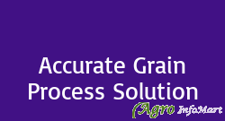 Accurate Grain Process Solution anand india