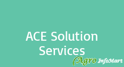 ACE Solution Services delhi india