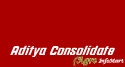 Aditya Consolidate