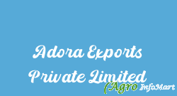Adora Exports Private Limited ghaziabad india