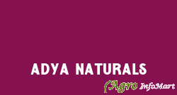 Adya Naturals secunderabad india