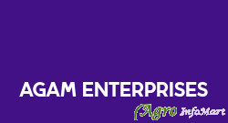 Agam Enterprises