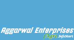 Aggarwal Enterprises delhi india