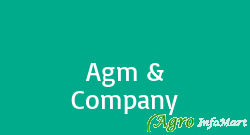 Agm & Company