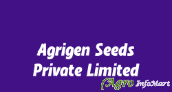 Agrigen Seeds Private Limited