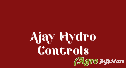 Ajay Hydro Controls ludhiana india