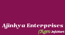 Ajinkya Enterprises nashik india